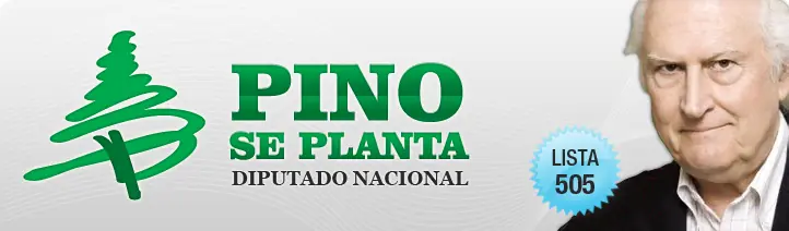 Todo Sobre pino solanas
