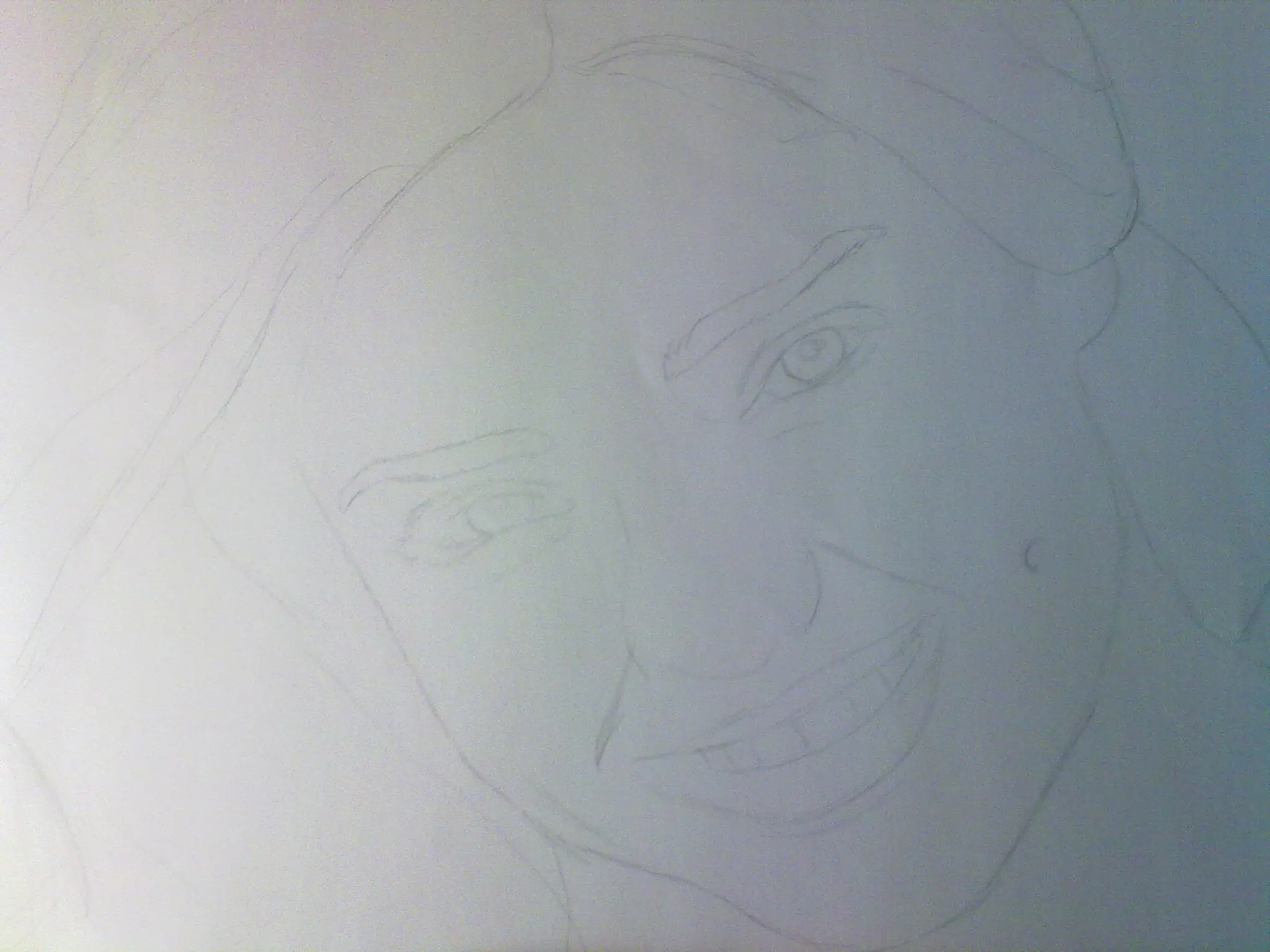 Dibujando a Miranda Kerr