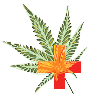 La Marihuana y sus aplicaciones medicinales!!