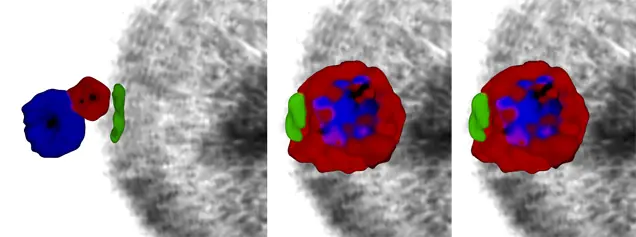 ciencia colectiva;malaria,un asesino serial en directo