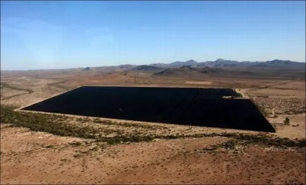 Plantación gigante ilegal de marihuana.