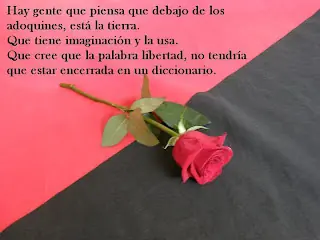 ¿Eres anarquista? (¡La respuesta puede ser una sorpresa!)