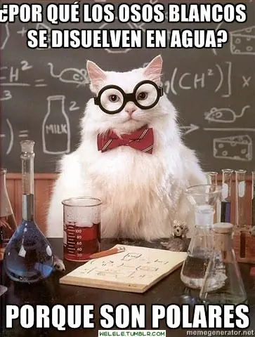 humor