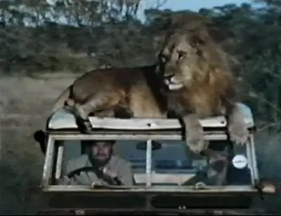 africa