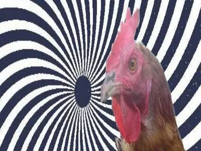 Hechos científicos que probablemente no conocías