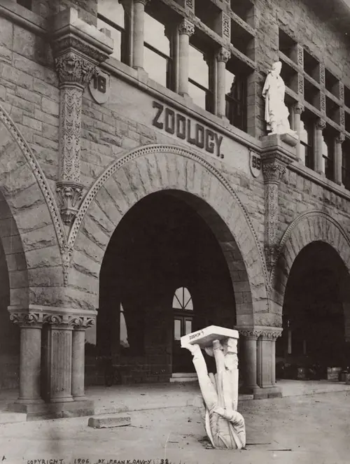 Unas veces te comes al oso..