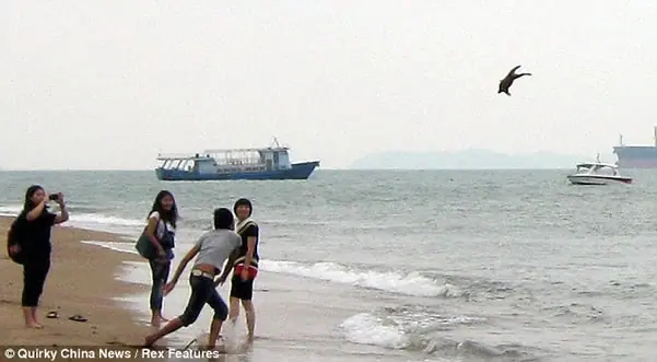 Cachorro fue lanzado al mar varias veces hasta que bañista