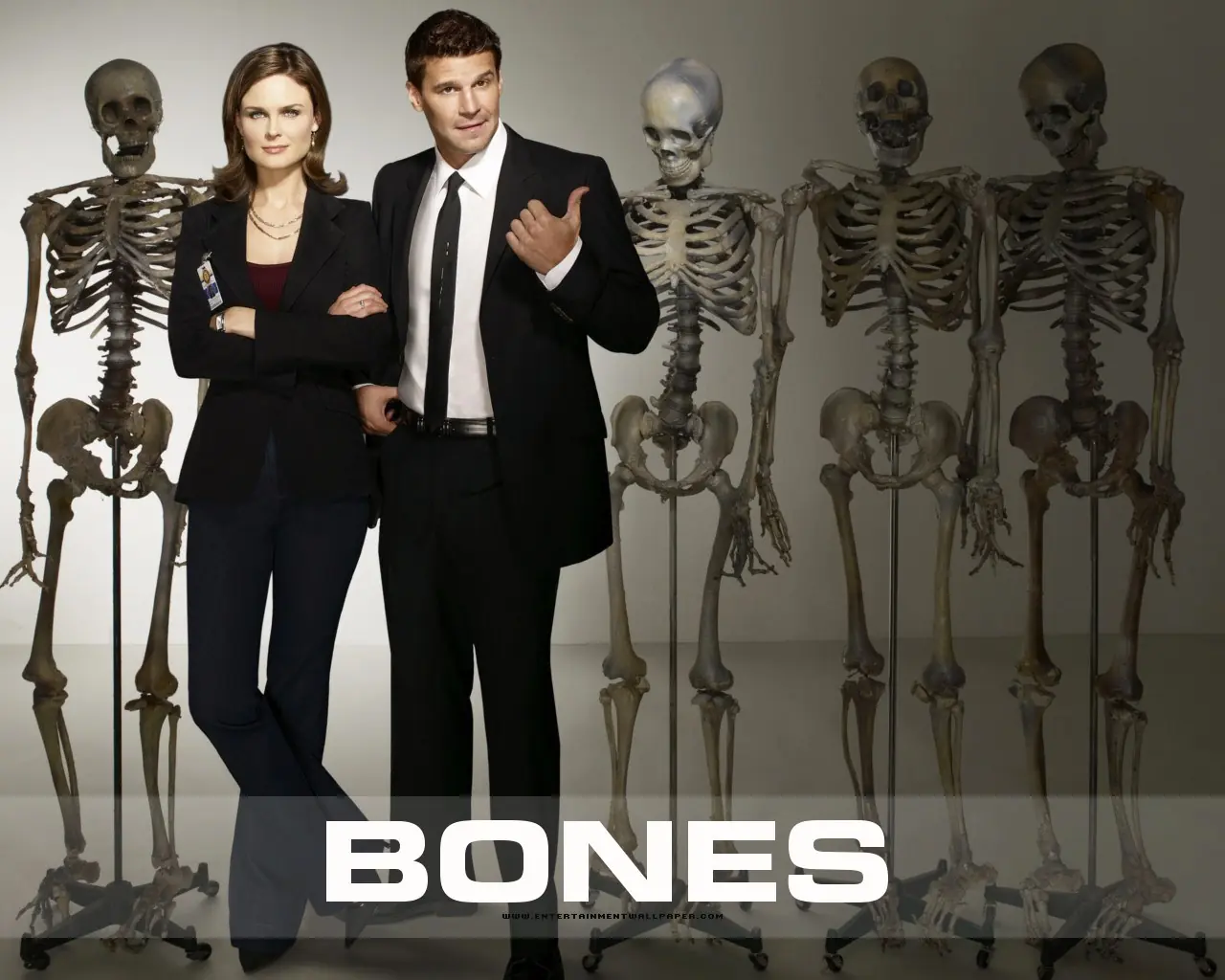 Descargar Todas las temporadas De Bones!
