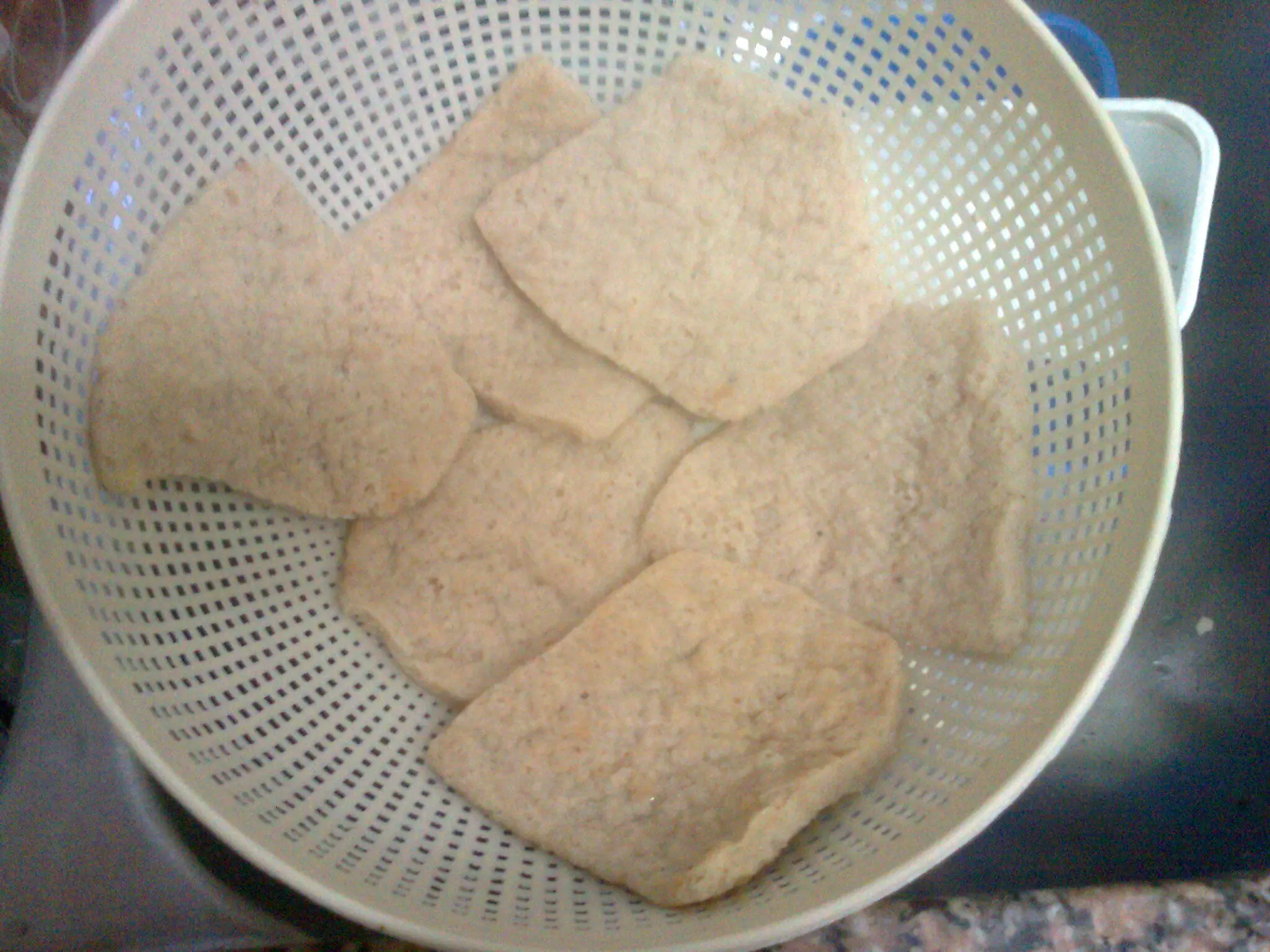 Milanesas de soja - fotos propias