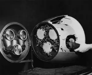 Palomas kamikaze en la II Guerra Mundial