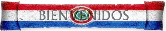 Entrada vehicular de tu casa (rampa)