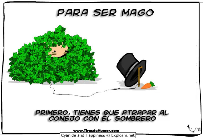 humor