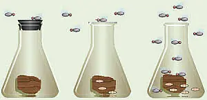Teoria de la generacion espontanea
