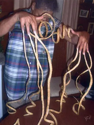 megapost de las cosas mas raras del mundo