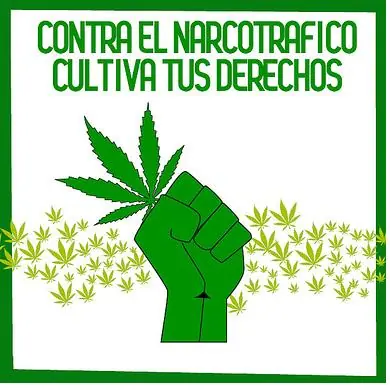 Recomendaciones de la marihuana(la ignorancia mata)