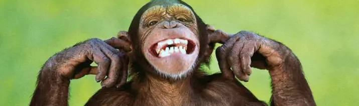 Preguntas absurdas pero reales