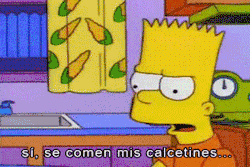 Cientos de Imagenes Nuevas