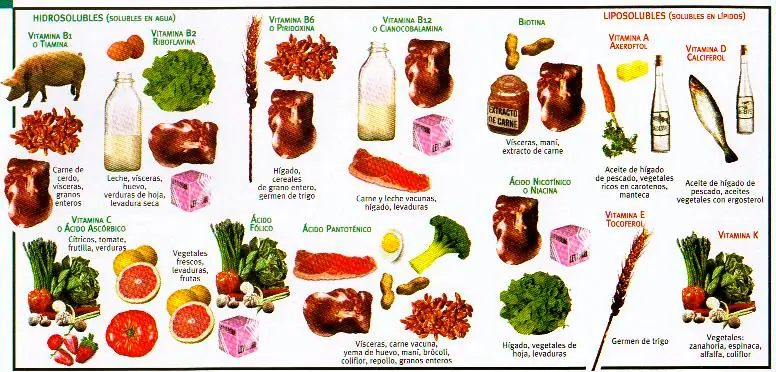 Vitaminas pueden acortar la vida