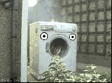Gifs de todo tipo