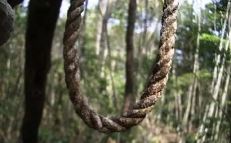 El bosque del suicidio