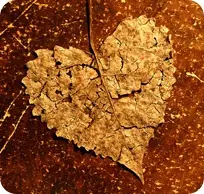 Si no correspondes su amor, déjale ir