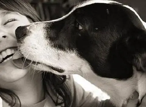 Cosas que no sabias de tu perro!!