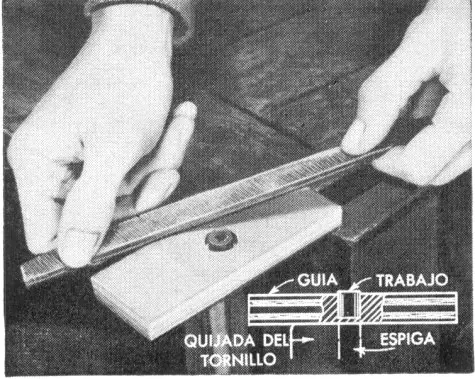 Pajarera palaciega-pajaros,jaula,cabañita