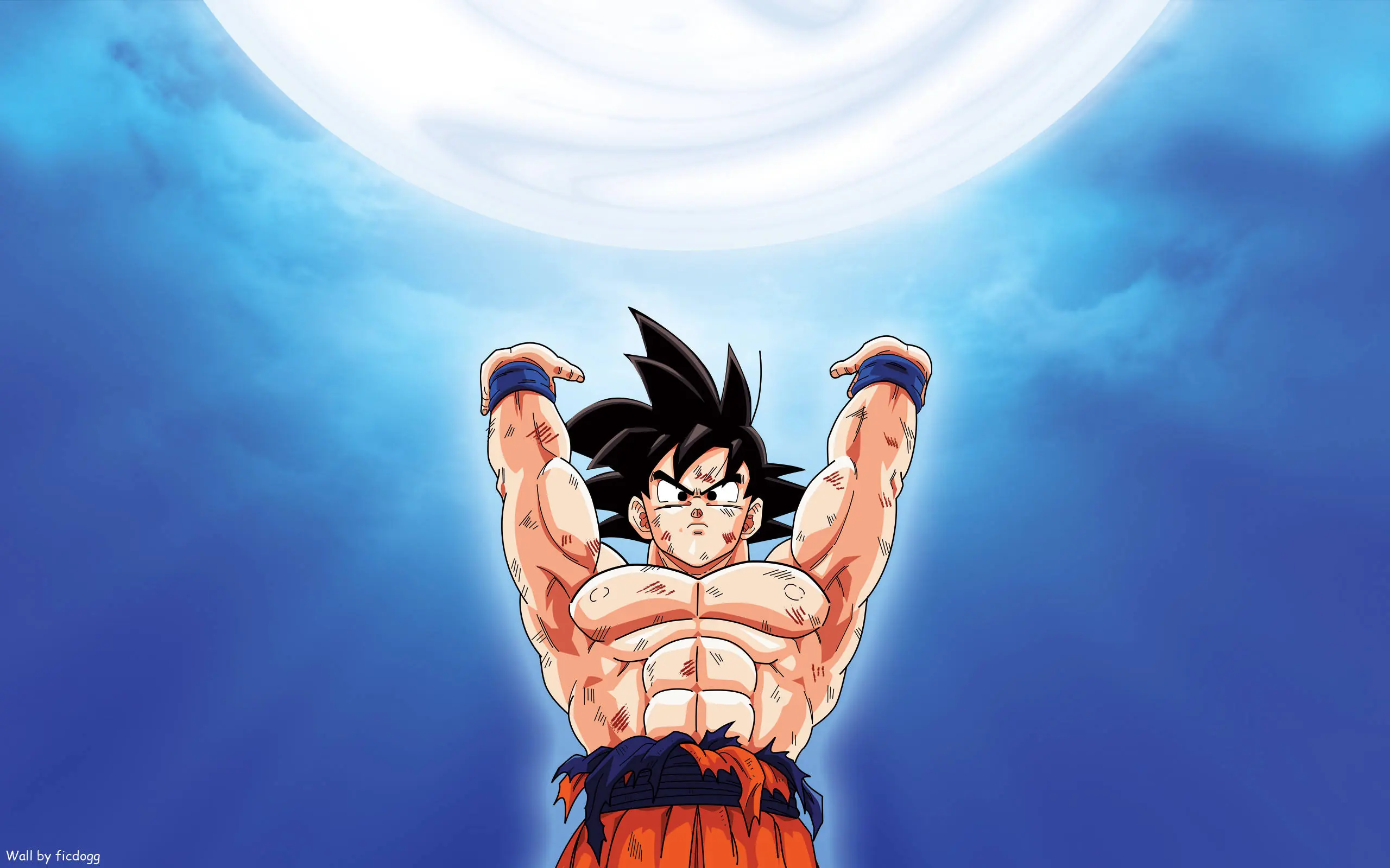 Solo fueron 8 años de Dragon Ball
