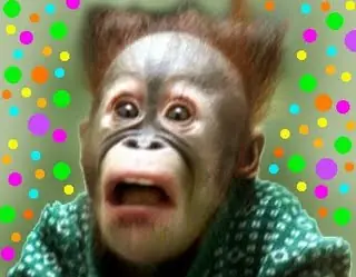 WTF, ataque Ddos a Taringa!!!