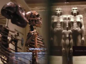 Los humanos seguimos evolucionando