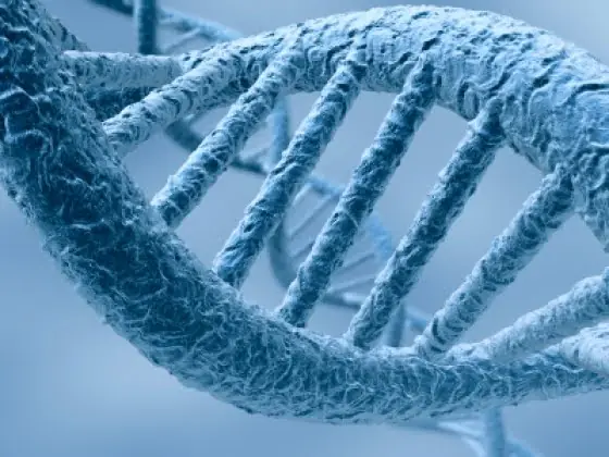 ADN: 56% de los argentinos tienen sangre de aborigen