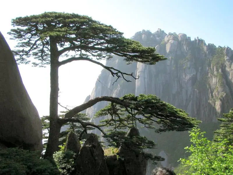 paisajes hermosos