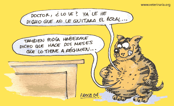 curiosidades