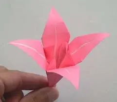 Aprender Origami