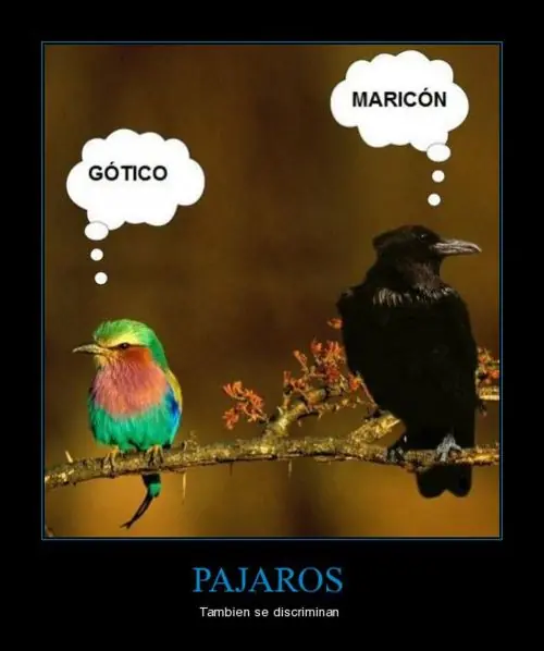 +5 si te reiste (Gifs)