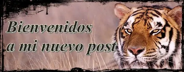 crear intros de película inicios de película con tu nombre