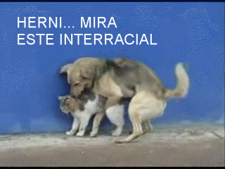 Peligro Gifs Animados Graciosos