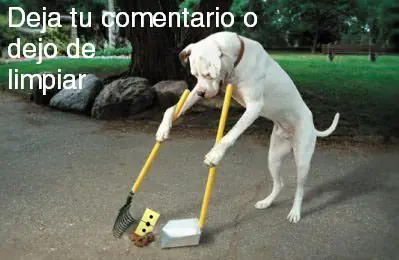 videos graciosos