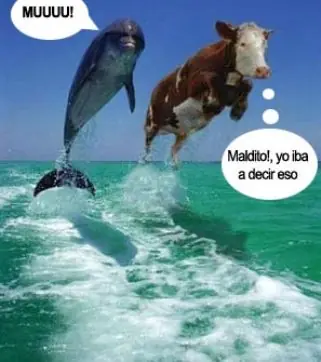 Para inteligentes :los 15 chistes mas tontos!!