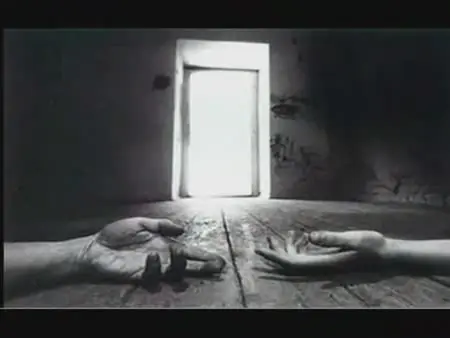 ¿Amor Imposible? - (Propio - Relato)
