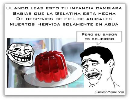 Curiosidades