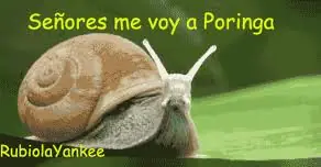 memes divertidos
