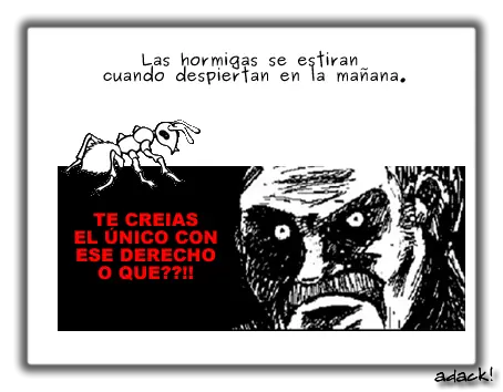 prepucio