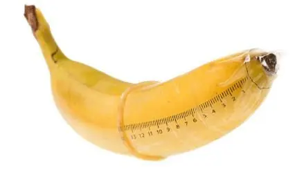 14 datos curiosos acerca del pene