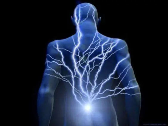 10 cosas que no sabias del cuerpo humano