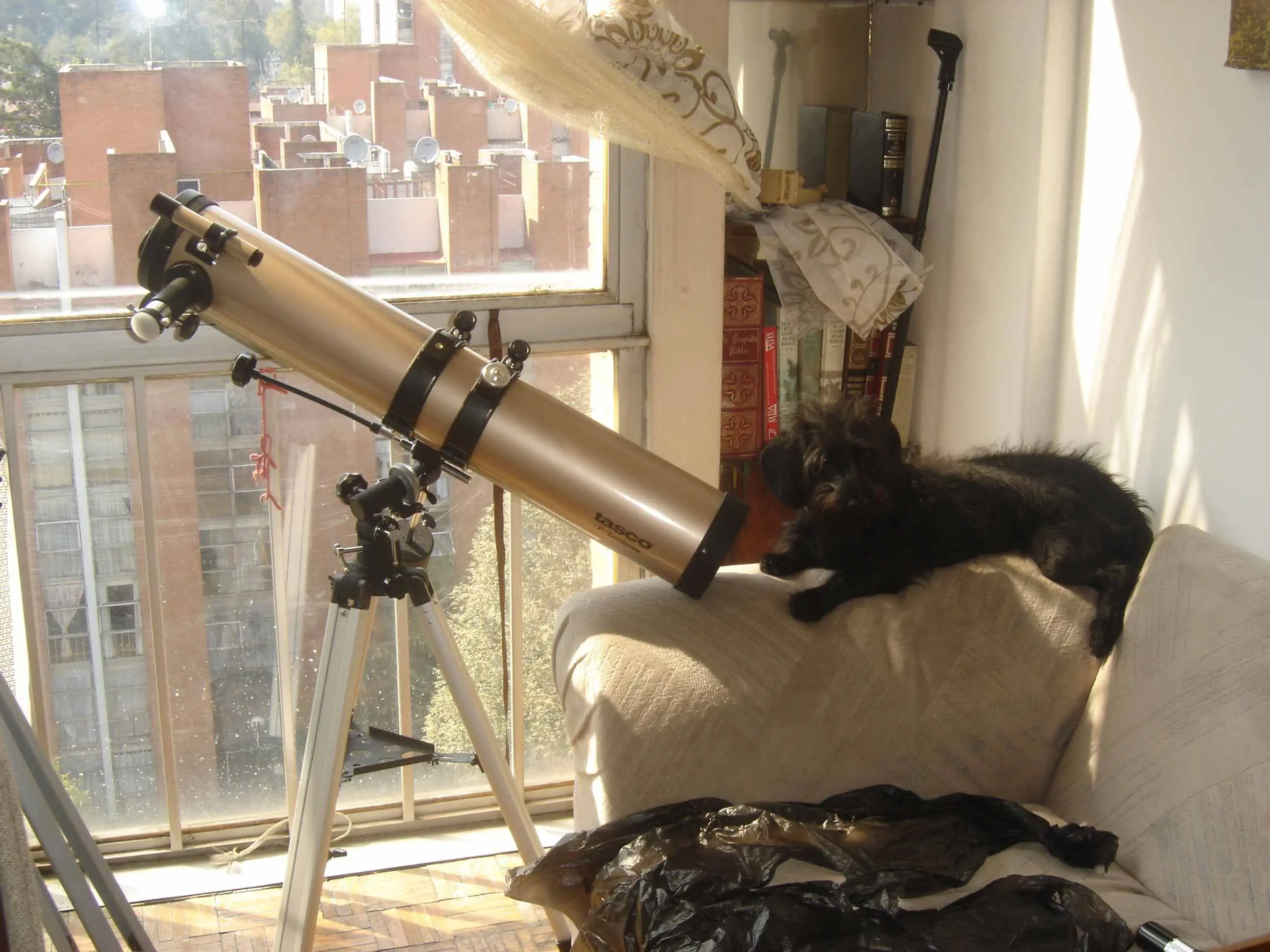 Mis primeras fotos de la luna