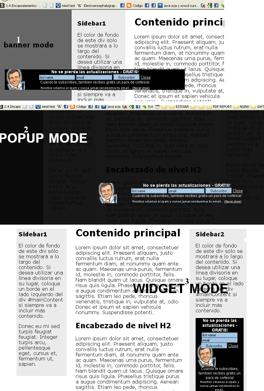 Sistema de recoleccion de emails newsletter