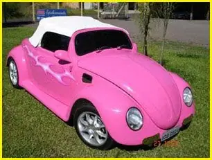bettle