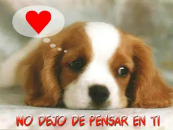 confio en vos