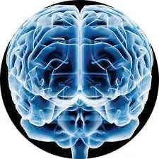 Como Hackear tu cerebro comprobado